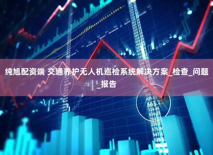 纯旭配资端 交通养护无人机巡检系统解决方案_检查_问题_报告
