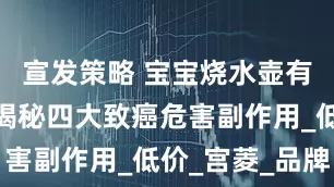 宣发策略 宝宝烧水壶有危险吗？揭秘四大致癌危害副作用_低价_宫菱_品牌