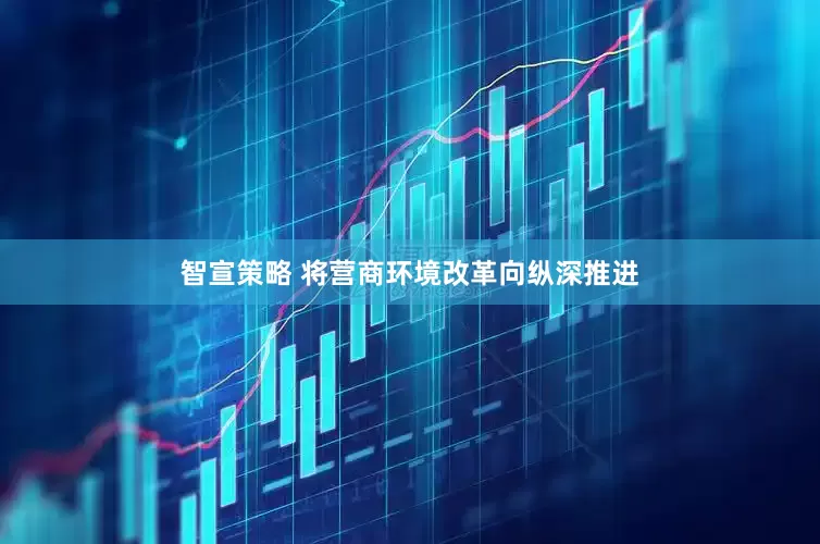 智宣策略 将营商环境改革向纵深推进